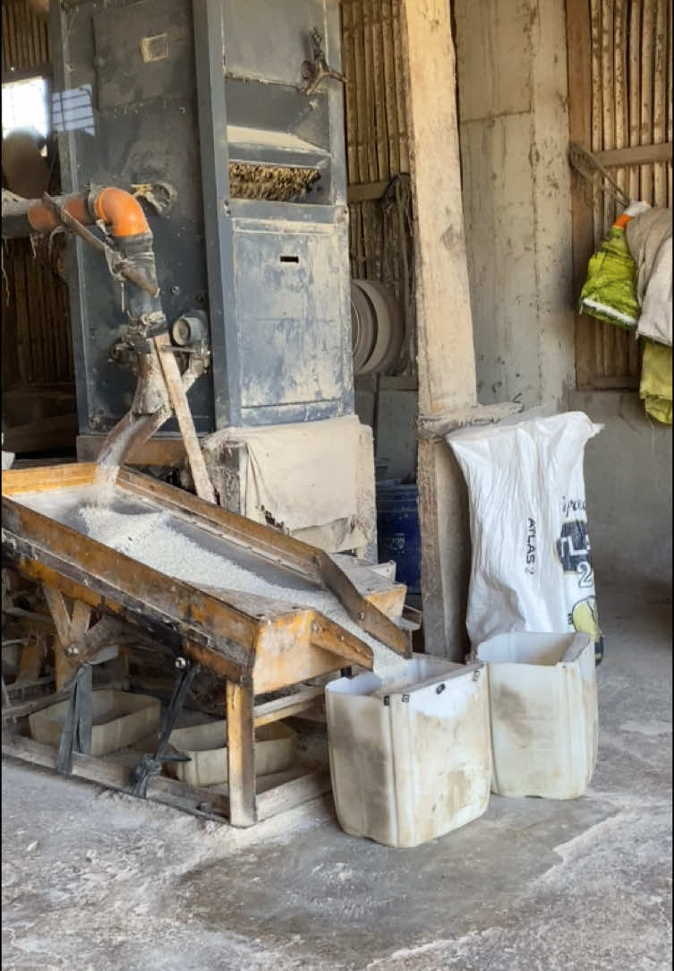 Rice Mill 🌾 #palay #rice #ricemill #fyp #probinsya #blessing #thankyoulord #millingmachine #foryou #negrosoccidental #farmlife #rurallife 