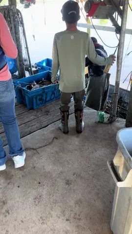 He almost  got the winch mastered , always trying to help . #commericalfishing #unloadingfish #catfish #louisiana  #bayoulife 