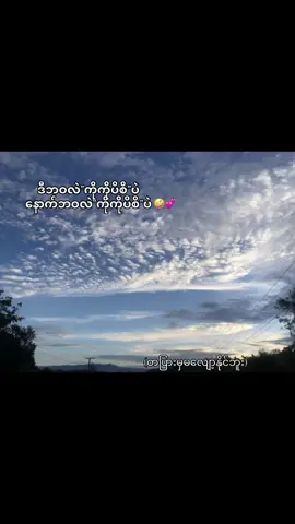 Koko lover🎀#viral #moost #fyp 