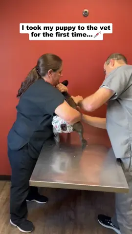 I took my puppy to the vet for the first time…#dog #dogs #dogsoftiktok #pet #fyp #fypシ゚viral #funny #foryou 