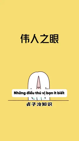 Những Điều Thú Vị 