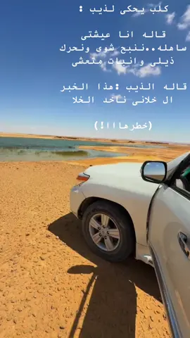 #سيوه #بحر_الرمال_العظيم🔥 #مطروح_وهلها🔥💪😎 #احمد_بلال_السيوي #ليبيا #الكفره_جبل_العوينات_تازربو_طبرق_جغبوب #الجنوب_الغربى #الشعب_الصيني_ماله_حل😂😂 #سيوه_وهلها🔥💪😎 