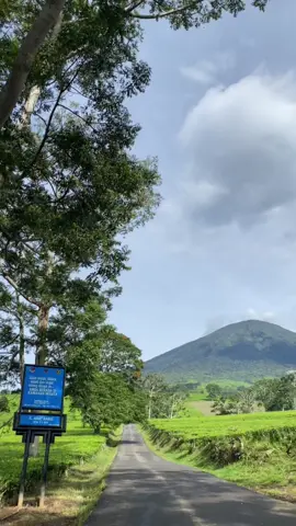 #kebunteh#gunungdempo 