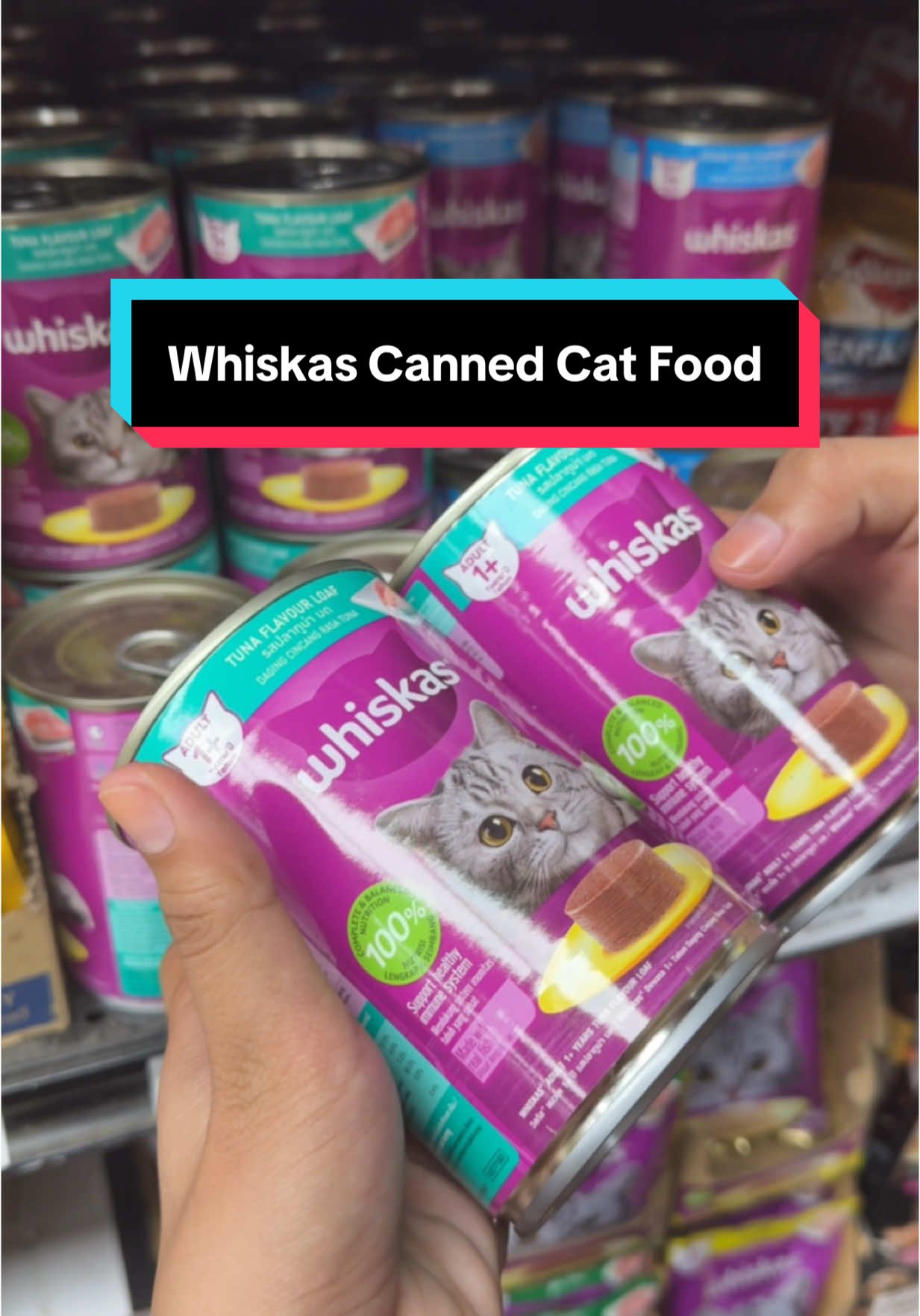 Whiskas Canned Cat Foods #whiskascannedwetfood #fyp #trending #foryou 