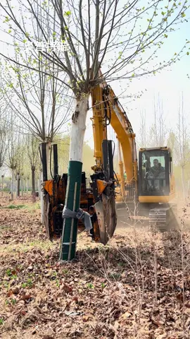 #manufacturers #中国挖树机 #tree spade mover#dig tree machine#factory supply