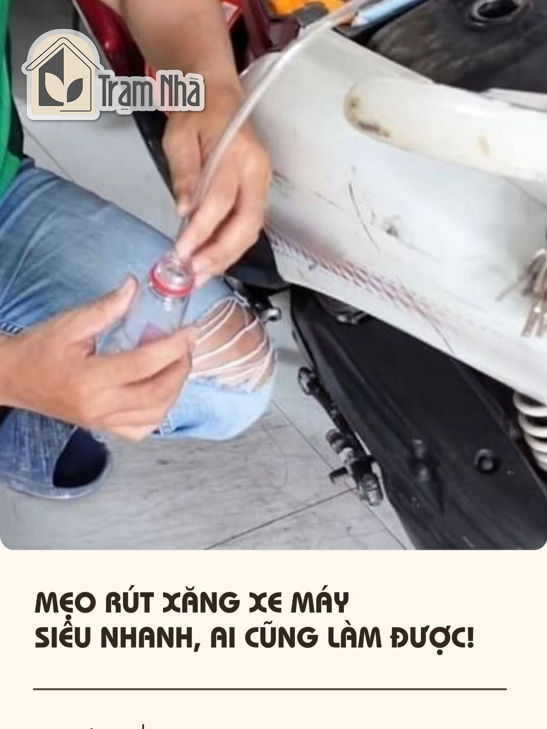 Nghe đồn 