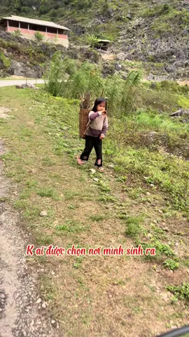 Phần 714: Cho đi là còn mãi #thaygiaovungcao #xuhuongtiktok2025 #hàgiang2025 