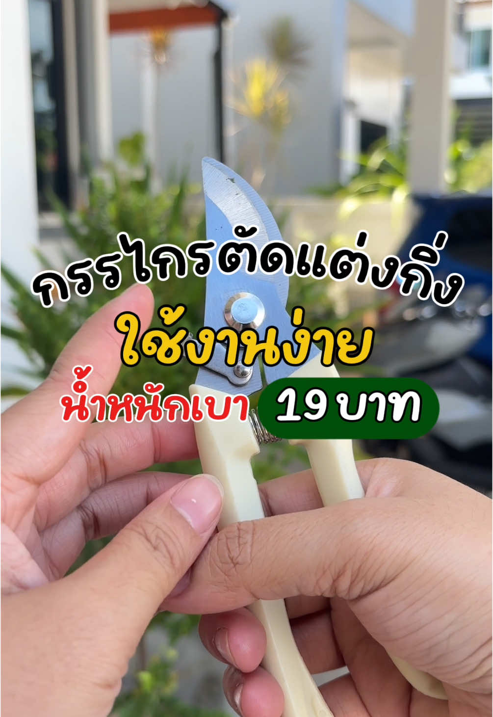 ตัดกิ่งไม้แบบไม่ต้องออกแรงเยอะ กรรไกรตัดแต่งกิ่ง น้ำหนักเบา แค่ 19 บาท! ใช้ดีจนต้องบอกต่อ ✂️✨ #กรรไกรตัดกิ่ง #อุปกรณ์สวน #ของใช้ในสวน #แต่งสวนง่ายๆ #ราคาหลักสิบคุณภาพหลักร้อย