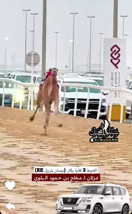 غزلان الانتاج 🔥🔥🥇