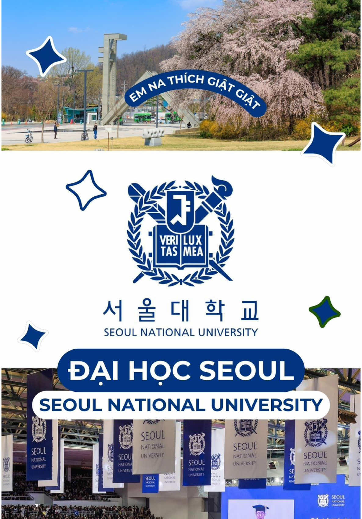+1 sound Seoul National University 🇰🇷 #duhoc #dhs #viral #seoul #korea #snu #seouluniversity #seoulnationaluniversity #서울대학교 