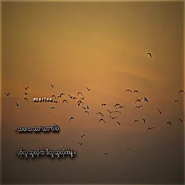 #viewမတက်ရင်ပြန်ဖျတ်မယ် #တင်ချင်တာတင်မယ်ရောက်ချင်တာရောက် #fyeeeeeeeeerreeeeeeeeee #fyp #fouryoupage 