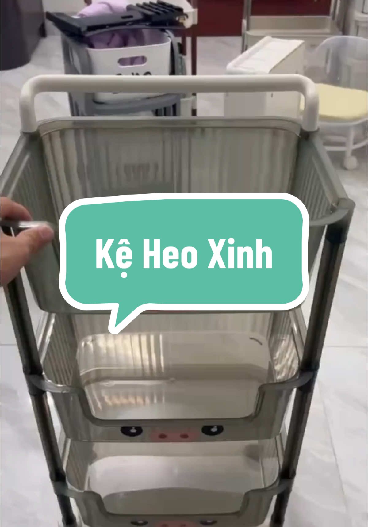 Kệ heo xinh 😍😍#xh #viral #trending #kedanang #tmgiadungcuocsong 