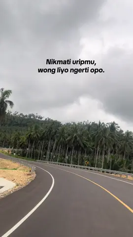 #fypシ #pantaisine #jlstulungagung #pantaisine 