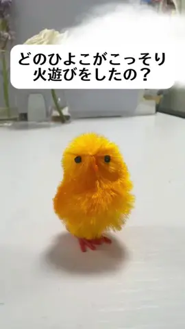 どこのヒヨコがこっそり火遊びに行ったんですか？🤣#楽しみです #面白いです #ひよこ#おもちゃです