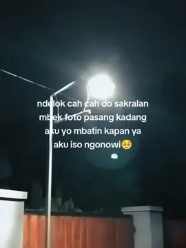 kapan yo?  #foryou #zxycba #bahanswmu #pagarnusa86💚🔱 #psht #pshwtm #ikspi 