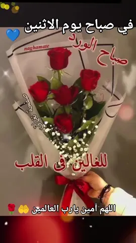 🌹🌹🌹