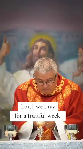 Happy New Week 🙏  #catholic #eucharist #prayer #newweekprayer #prayerfortoday #prayerfortheday #newweek 