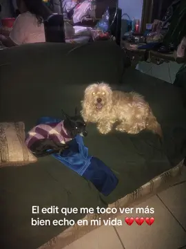 #CapCut #paratiiiiiiiiiiiiiiiiiiiiiiiiiiiiiii #holaaa #2025 #2025 #triste #cansado #💔 