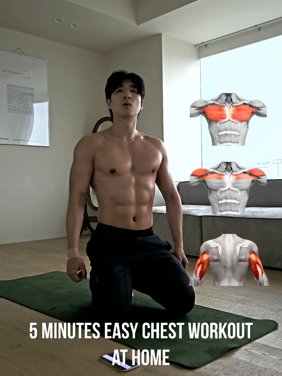Complete Chest Workout At Home 🏡 (No Equipment) 집에서 할 수 있는 가슴 운동 루틴 #chest #chestworkout #chestday #exercise 