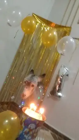 الروش #الروش😎♥ 