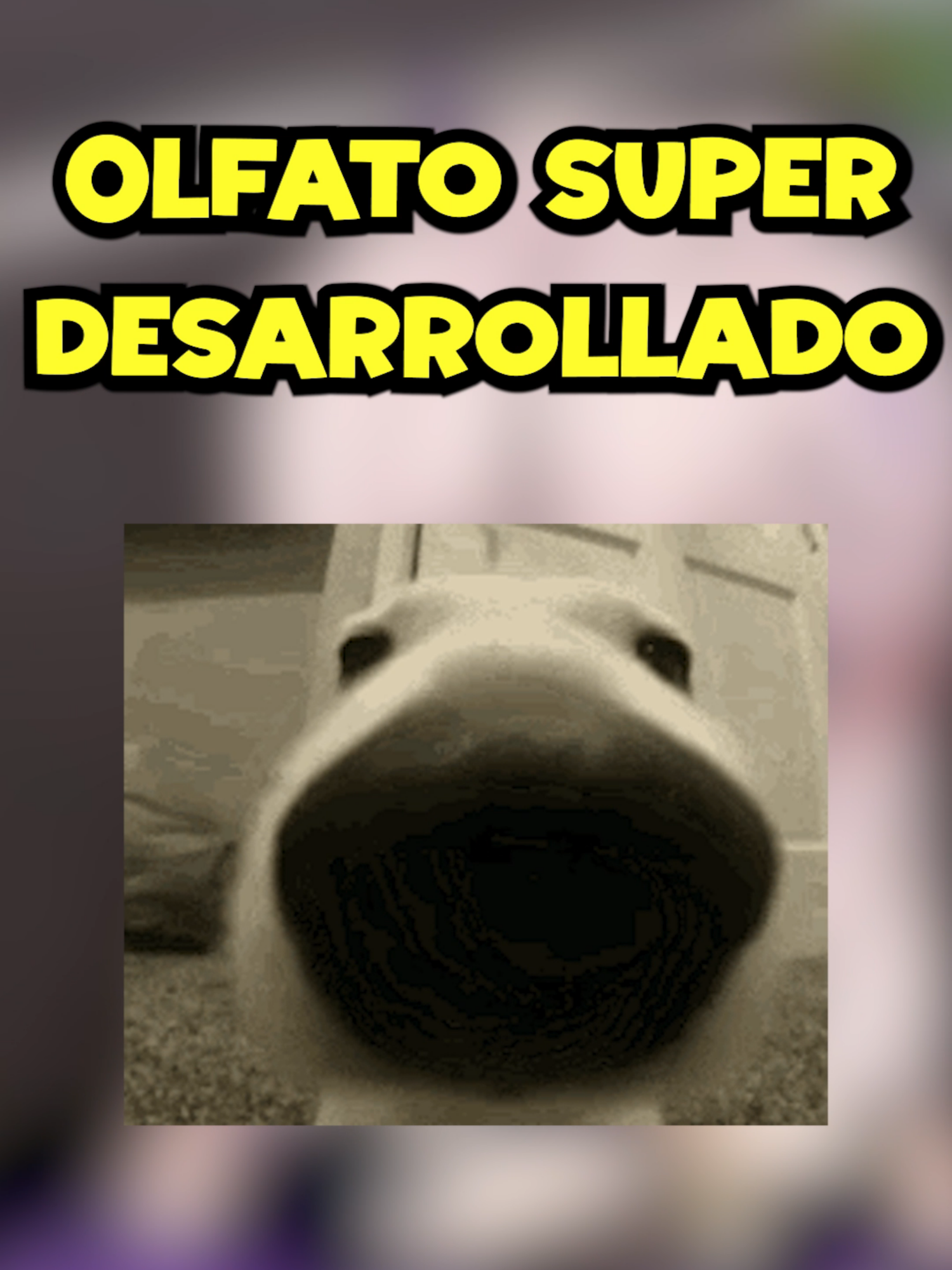 *Sniff* *Sniff* super ofalto #fornite #comidacasera #vtuber