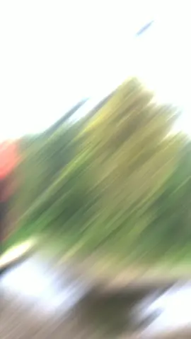 fyppppppppppppppppppppppppppppppppppppppppppppppppppppppppppppppppppppppppppppppppppppppppppppppppppppppppppppppp#JJCapCut @Lamini 