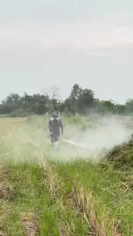 เทส ๆ ระบบ เก็บหญ้า 🌾 #สุพรรณบุรี  #วัยรุ่นทํานา #วัยรุ่นทํานา🌾 #ลูกชาวนา 