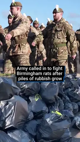 Soldiers have been called in to tackle huge piles of rubbish as Birmingham bin strikes continue. The city declared a major incident after more than 17,000 tonnes of uncollected waste began littering the streets following a strike by members of Unite over the council’s plans to scrap some bin collection and recycling roles. Now, the government has asked for help from the Army. #news #birmingham #army #soldiers #rats