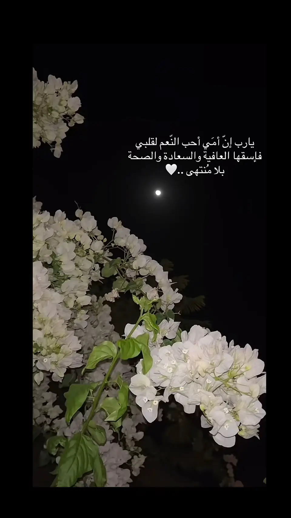 # أمي المعني الحقيقي للسلام #♥️♥️♥️ #اكـــــســـــبــــــلـــــــــــورシ🖇️🦋 #🦋🦋🦋🦋🦋 #foryoupageeee 