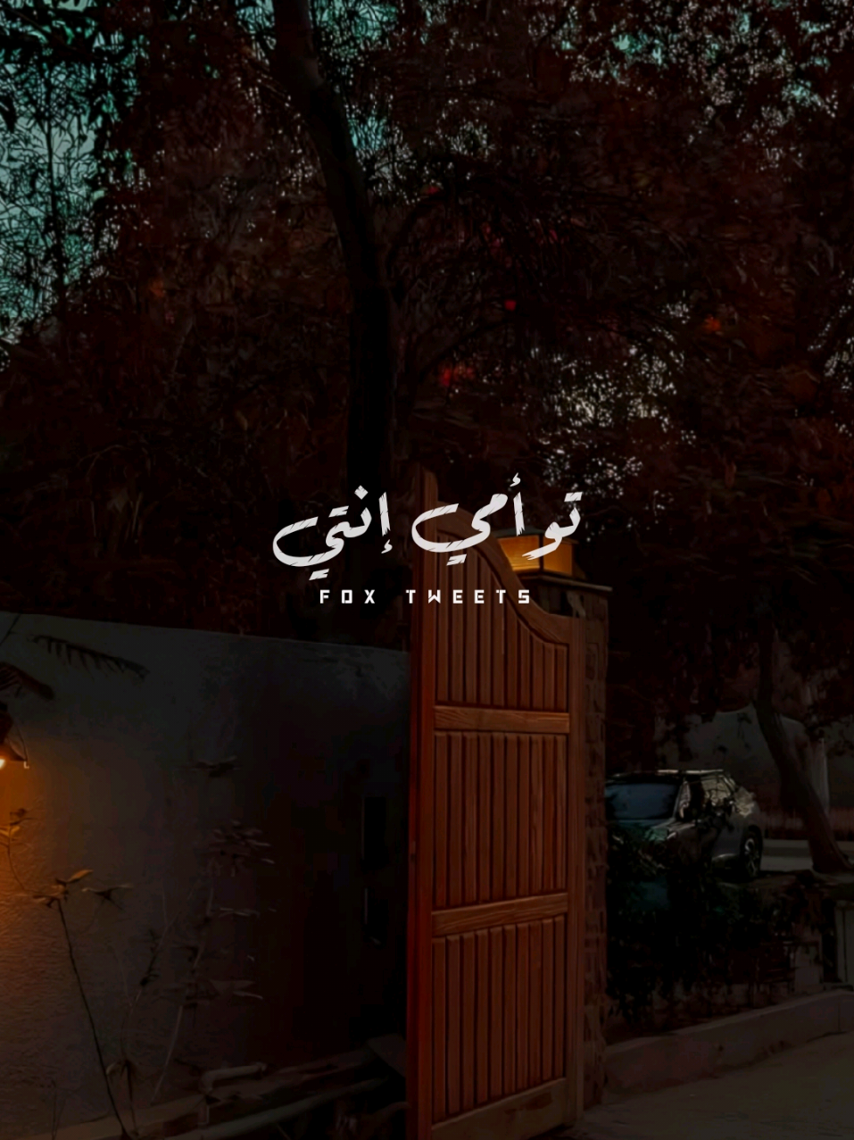 توأمي انتي اللي حافظني ❤️👩‍❤️‍👨 #ستوريات #حب #ليل_المحمدي #تصميمي #foryoupage #foryou #حالات_واتس 