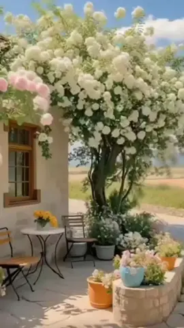 #感謝 #ギフト #レオンとリリー @syo.8.12 