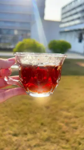Kidneys health #kidney #kidney #health #tea #menshealth 