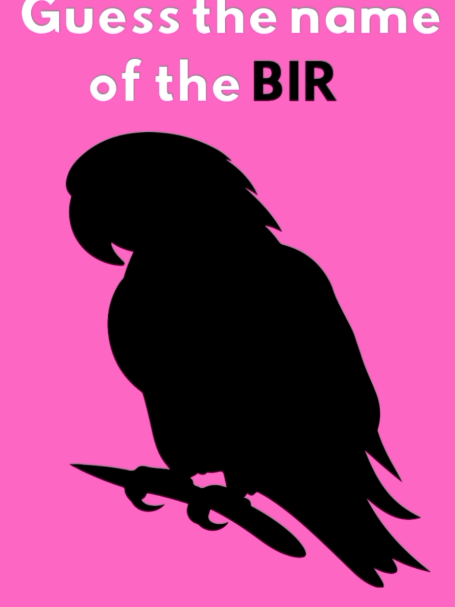 #tiktok #guess #parrot #bird 