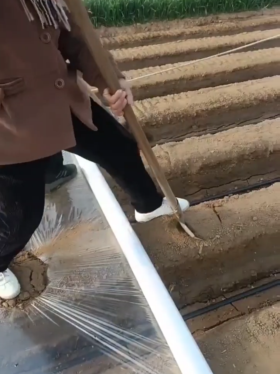 #satisfying #machines #in #action 
