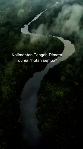 bener kan🤩🤩✨ #kalteng #palangkaraya #kalimantan #CapCut #fyp #hutan 
