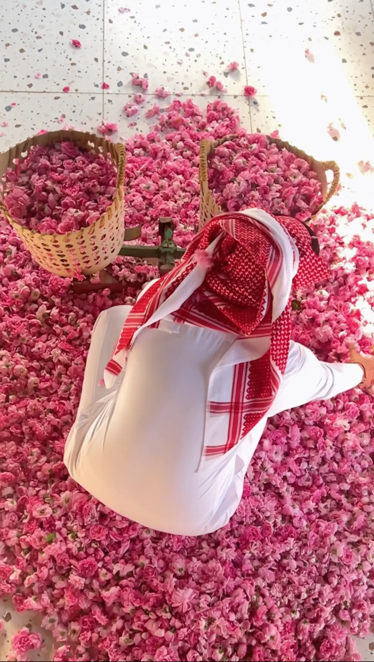 #CapCut #موسم_الورد_الطائفي #الورد_الطائفي #الطايف_الان #تصويري📷 #tiktok #fotografo #yyyyyyyyyyyyyyyyyy 