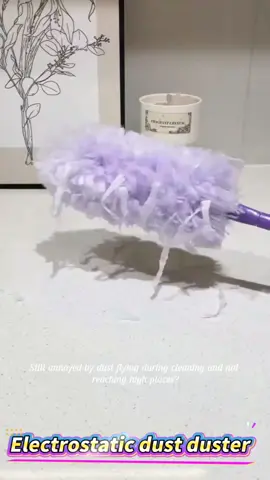 Still bothered by dust? The electrostatic dust duster comes to the rescue.#UK #London #fyp #fouyou #goodthing #cleaning #cleaningtiktok #useful #clean #CleanTok #homecleaning #dustremoval #duster #householdcleaning #electrostatinadsorption #efficientcleaning #efficientdustremoval #deepcleaning #savelabor #quick #convenient #easytouse #savetime #cleaninghelper #cleaningtools 