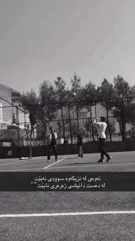 #creatorsearchinsights #capcut #slemani #fyp #fypシ゚viral #foryou #foryoupage 