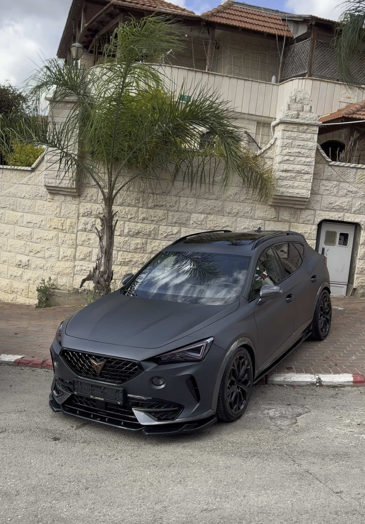 🦍#explore #fyp #foryou #cupra #vz #اكسبلور #🐍 #קופרה 