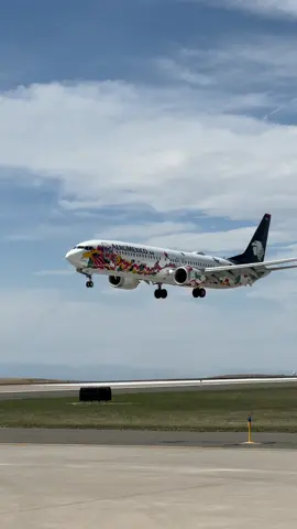 Such a beautiful livery! Aeromexico Kukulkan Livery! 🇲🇽 #aeromexico #mexico #boeing #737 #b737 #denver #colorado #denverinternationalairport #fyp #foryou #foryoupage #avgeek #airplane #aircraft #airport #planespotting
