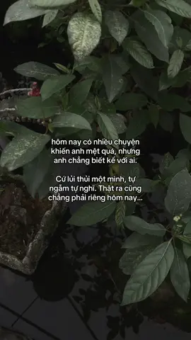 …#tamtrang #story 