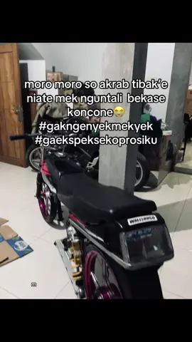 ga ekspek awamu segragas itu😭