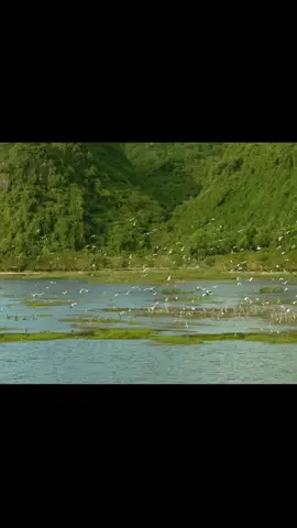 Nhân - duyên - quả #kyluatbanthan #phattrienbanthan #dongluccogang 