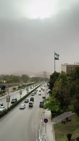 جسر الحُرِّيَّة وسط العاصمة السورية دمشق. #سوريا #دمشق #freedom #syria #damascus 