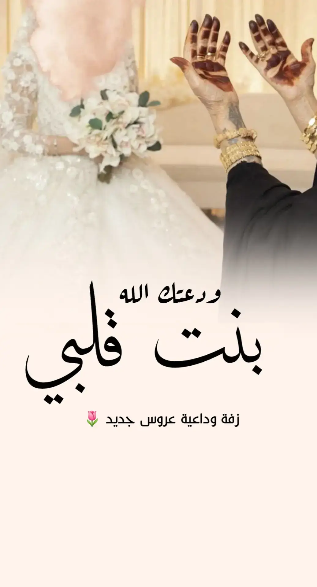 #زفه_عروسه #زفات_ماجد_المهندس_بدون_حقوق #زفات_راشد_الماجد_بدون_حقوق #زفات_2025_محمد_عبده #زفات_بدون_موسيقى 