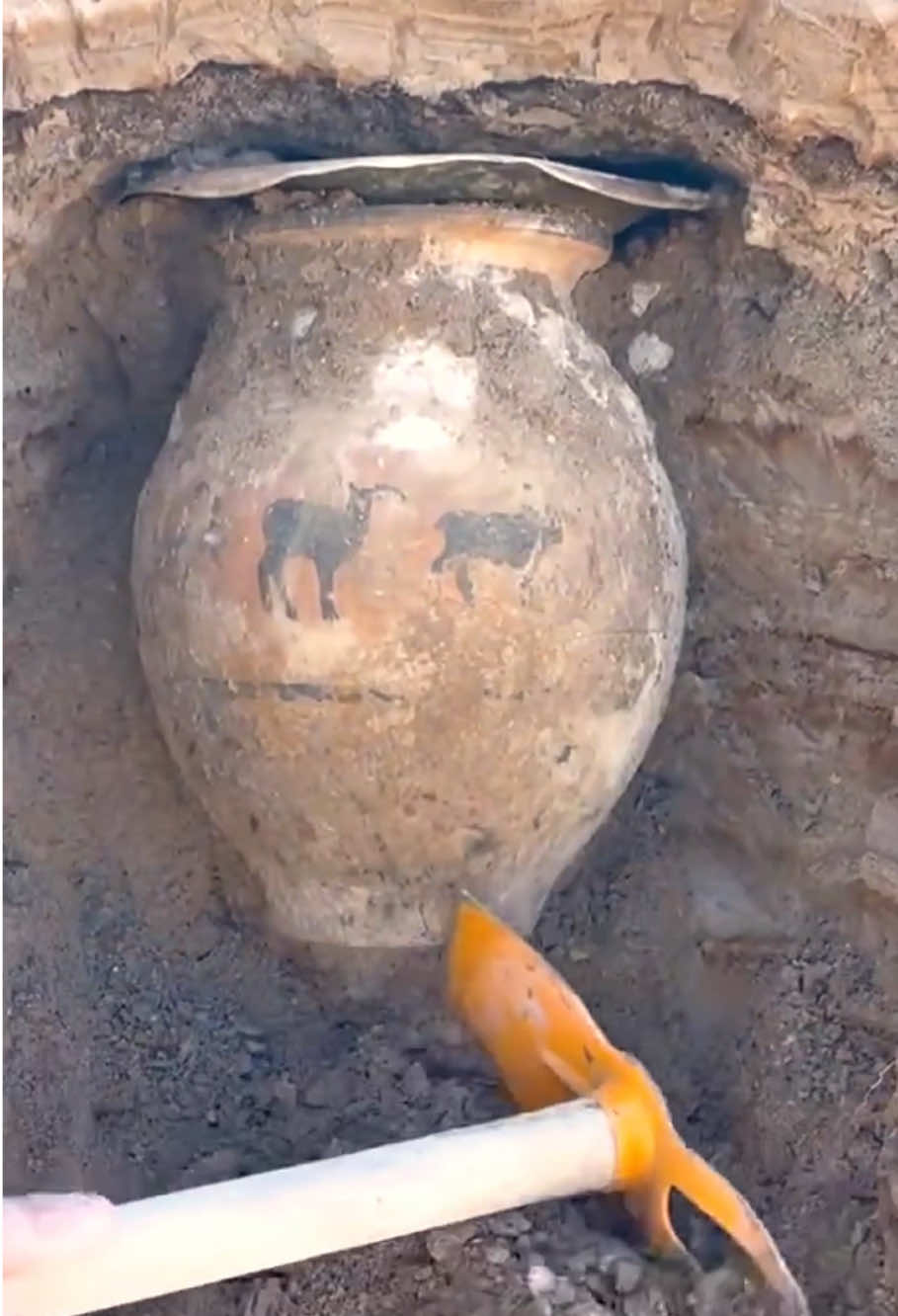 #metaldetector #treasure #treasurehunt #gold #findgold #foryou 