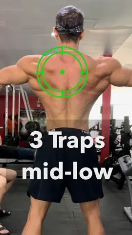 3ท่าฝึก Traps กลาง-ล่าง  #bodybuilding #Fitness #backdayworkout #diamondmass 