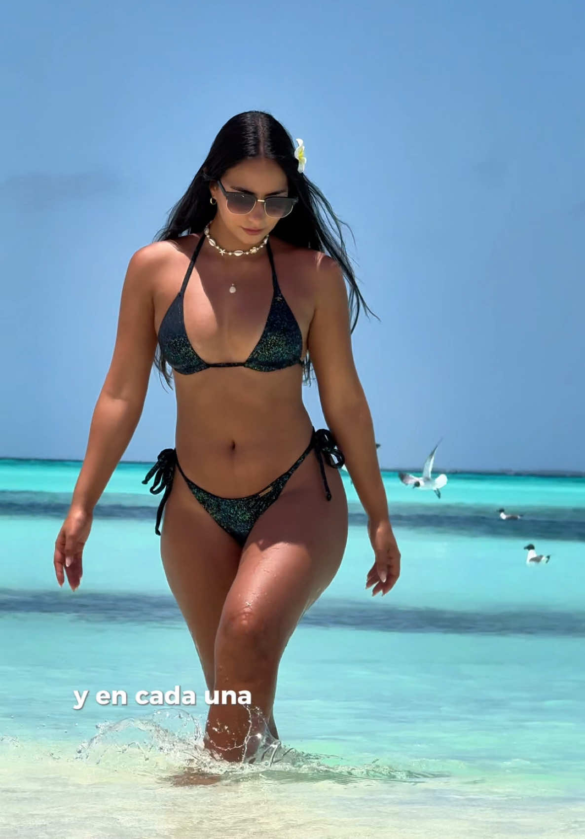 Presupuesto para viajar a los Roques  #losrques #venezuela #travel #trip #fyppppppppppppppppppppppp #playa 