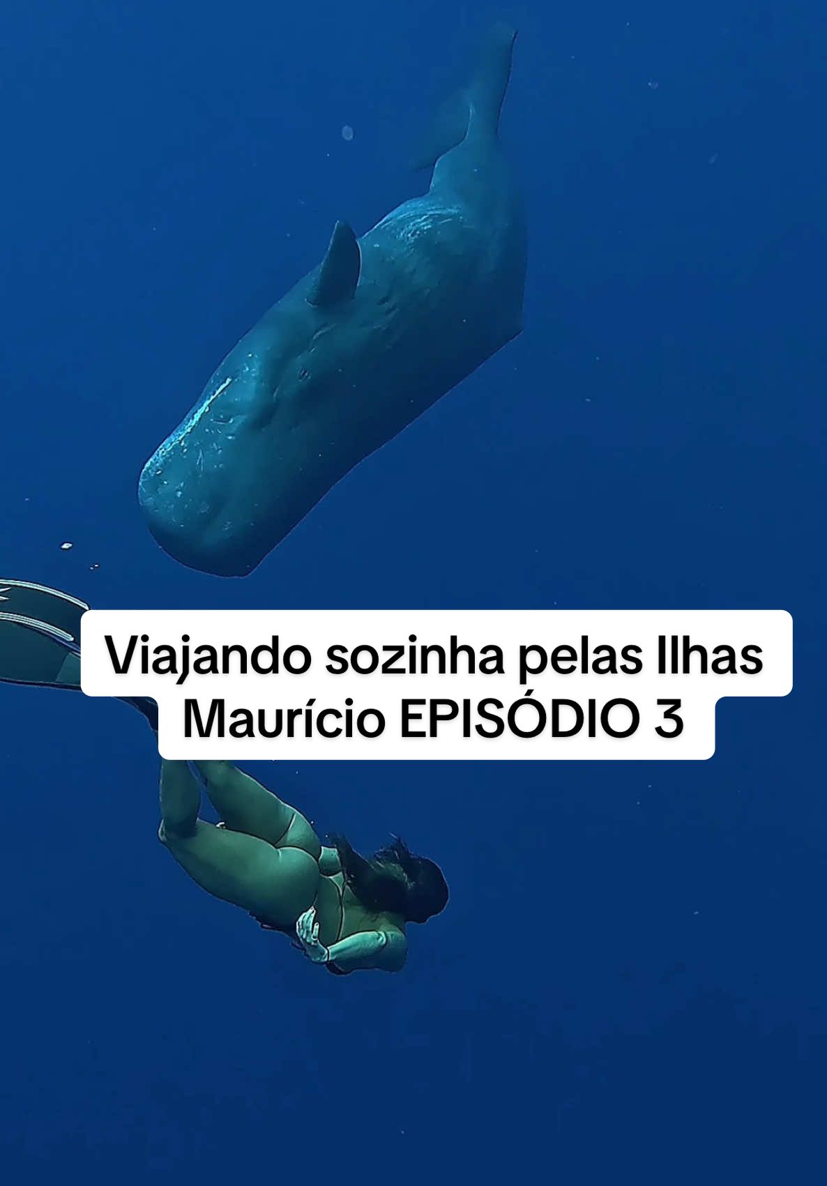 Um sonho realizado! Olho no olho  #cachalote 