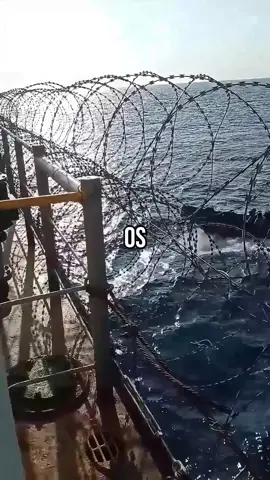 O combate à pirataria marítima evoluiu muito com o uso de tecnologias modernas. Hoje, navios comerciais e militares contam com radares, sensores térmicos, drones e sistemas de comunicação via satélite para detectar aproximações suspeitas em alto-mar. Esses sistemas permitem identificar barcos piratas a quilômetros de distância, ajudando as tripulações a mudar a rota, acionar escoltas ou se preparar para defesa. Algumas embarcações usam também sistemas acústicos de longo alcance (LRAD), que emitem sons altíssimos para desorientar e afastar invasores. Além disso, o uso de cercas elétricas temporárias, escudos de arame farpado e tintas escorregadias nos cascos inferiores dificulta o embarque dos piratas. Equipes armadas privadas ou militares também são contratadas para fazer a segurança em rotas de alto risco, como no Golfo de Aden e costa da Somália. Os dados de rastreamento de navios são compartilhados por plataformas como o AIS (Automatic Identification System) e cruzados com bancos de dados internacionais para antecipar ameaças. A tecnologia ainda é apoiada por inteligência artificial e análise preditiva, que mapeiam áreas de risco com base em ataques anteriores. Satélites vigiam zonas vulneráveis e transmitem imagens em tempo real para centros de controle. Todo esse conjunto de recursos tornou a pirataria mais difícil e arriscada, protegendo bilhões em mercadorias que circulam pelos mares do mundo. #pirataria #segurancamaritima #tecnologiadefensiva #piratasdomar #defesamaritima #segurancaglobal #navioscomerciais #piratariamoderna #tecnologiaantiinvasao #rastreionaval #protecaoaltomar #segurancanaval #combateaopiratismo #inteligenciamaritima #radarnaval #dronevigilancia #AIStracking #rotaSegura #marseguro #tecnologiamilitar #escoltanaval #zonaderisco #piratassomalia #estrategiadefesa #logisticamaritima #futurodanavegação